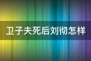 卫子夫死后刘彻怎样 