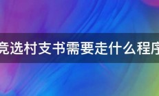 竞选村支书需要走什么程序 