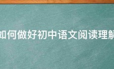 如何做好初中语文阅读理解 