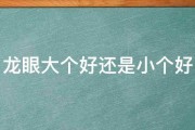 龙眼大个好还是小个好 