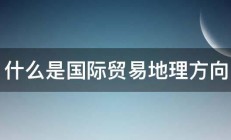 什么是国际贸易地理方向 