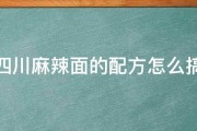 四川麻辣面的配方怎么搞 