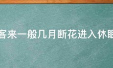 仙客来一般几月断花进入休眠期 