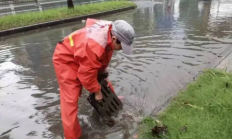 北京哪个区下的雨最大最新2023-北京今晚下的雨几点停