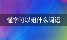 懂字可以组什么词语 