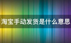 淘宝手动发货是什么意思 