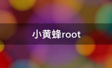 小黄蜂root 