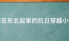 求在东北起家的抗日穿越小说 