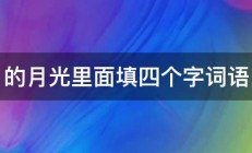 的月光里面填四个字词语 