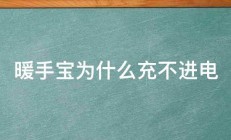 暖手宝为什么充不进电 