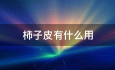 柿子皮有什么用 