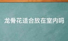 龙骨花适合放在室内吗 