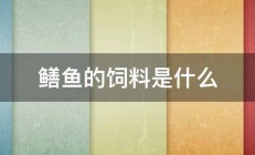 鳝鱼的饲料是什么 