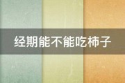 经期能不能吃柿子 