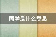 同学是什么意思 