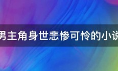 男主角身世悲惨可怜的小说 