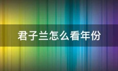 君子兰怎么看年份 