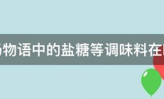 牧场物语中的盐糖等调味料在哪买 