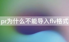 pr为什么不能导入flv格式 