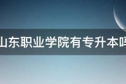 山东职业学院有专升本吗 