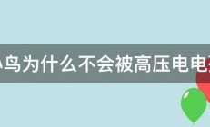 小鸟为什么不会被高压电电死 