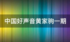 中国好声音黄家驹一期 