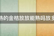 没熟的金桔放放能熟吗放多久 