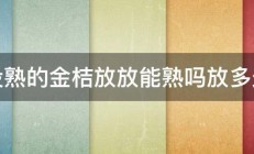 没熟的金桔放放能熟吗放多久 