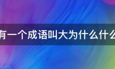 有一个成语叫大为什么什么 