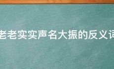 老老实实声名大振的反义词 