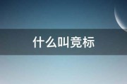 什么叫竞标 