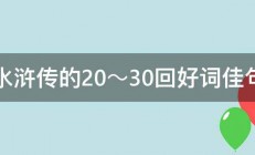 水浒传的20～30回好词佳句 