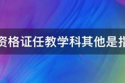 教师资格证任教学科其他是指什么 