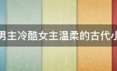 求男主冷酷女主温柔的古代小说 