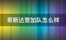 哥斯达黎加队怎么样 