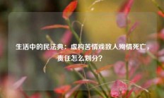 生活中的民法典：虚构苦情戏致人殉情死亡，责任怎么划分？ 