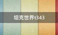 坦克世界t343 