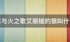 冰与火之歌艾丽娅的狼叫什么 