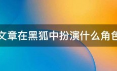 文章在黑狐中扮演什么角色 