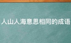 人山人海意思相同的成语 