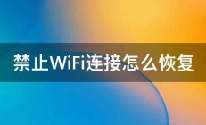 禁止WiFi连接怎么恢复 