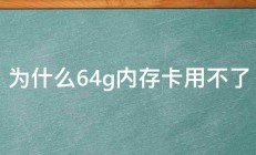 为什么64g内存卡用不了 