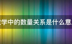 数学中的数量关系是什么意思 