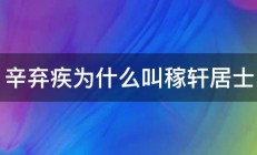 辛弃疾为什么叫稼轩居士 