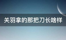 关羽拿的那把刀长啥样 