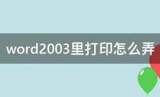 word2003里打印怎么弄 