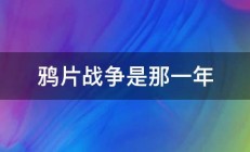 鸦片战争是那一年 