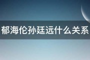 郁海伦孙廷远什么关系 