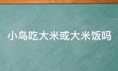 小鸟吃大米或大米饭吗 