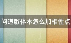 问道敏体木怎么加相性点 